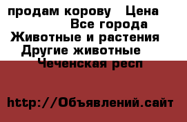 продам корову › Цена ­ 70 000 - Все города Животные и растения » Другие животные   . Чеченская респ.
